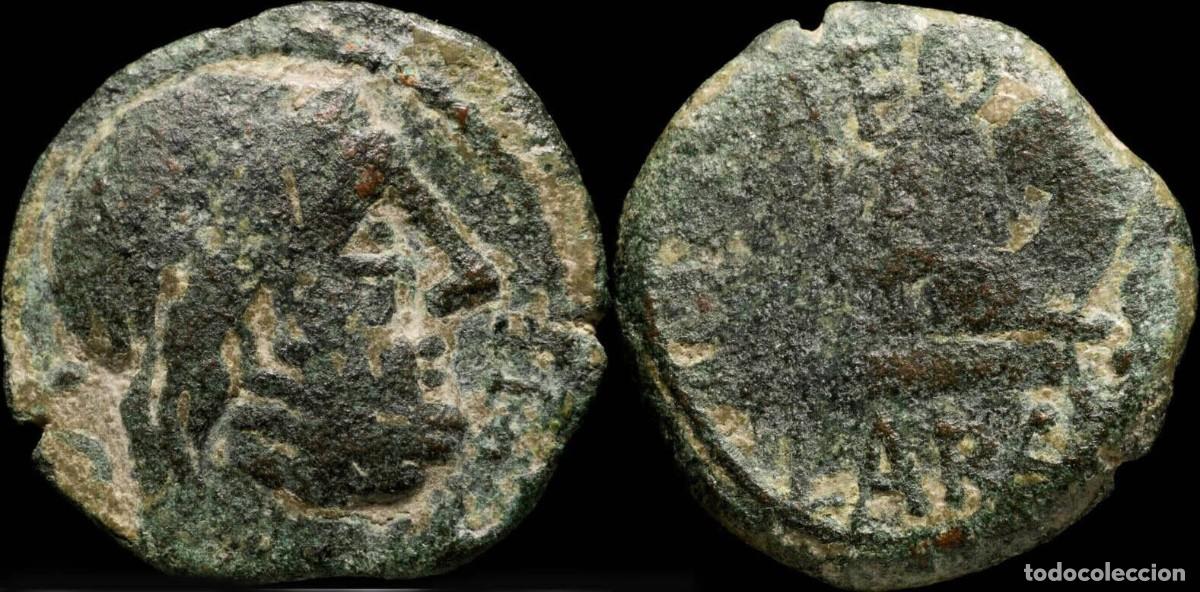Monedas ib&eacute;ricas: Ancient Hispania - Carteia, San Roque (C&aacute;diz) Ae Semis - 21 mm / 5,89 gr.Obverse: Stylized head of S