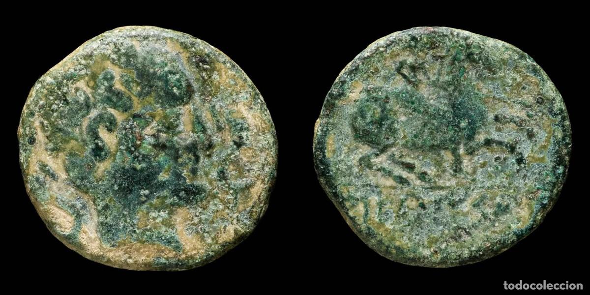 Monedas ib&eacute;ricas: Ancient Hispania - Sekaisa, Calatayud (Zaragoza) Ae As - 23 mm / 7.55 gr.