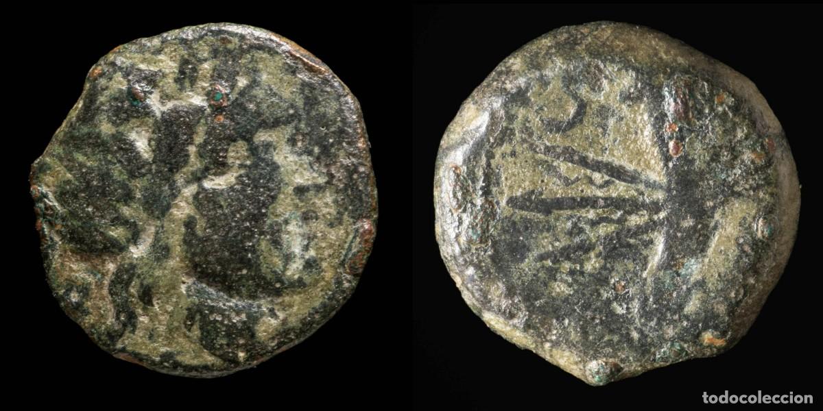 Monedas ib&eacute;ricas: Ancient Hispania - Carteia, San Roque (C&aacute;diz) - Ae Semis - 21 mm / 6.14 g