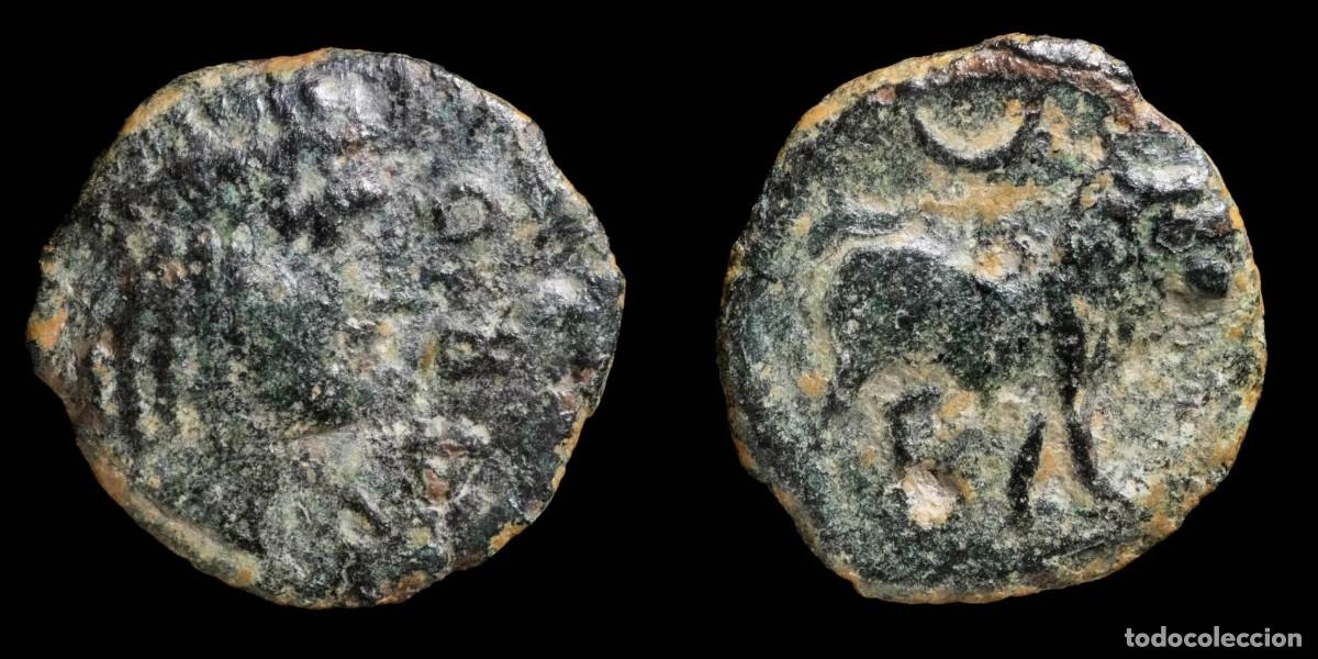 Monedas ib&eacute;ricas: Ancient Hispania - Castulo, Cazlona (Jaen), Ae Semis - 19 mm / 3.36 gr.