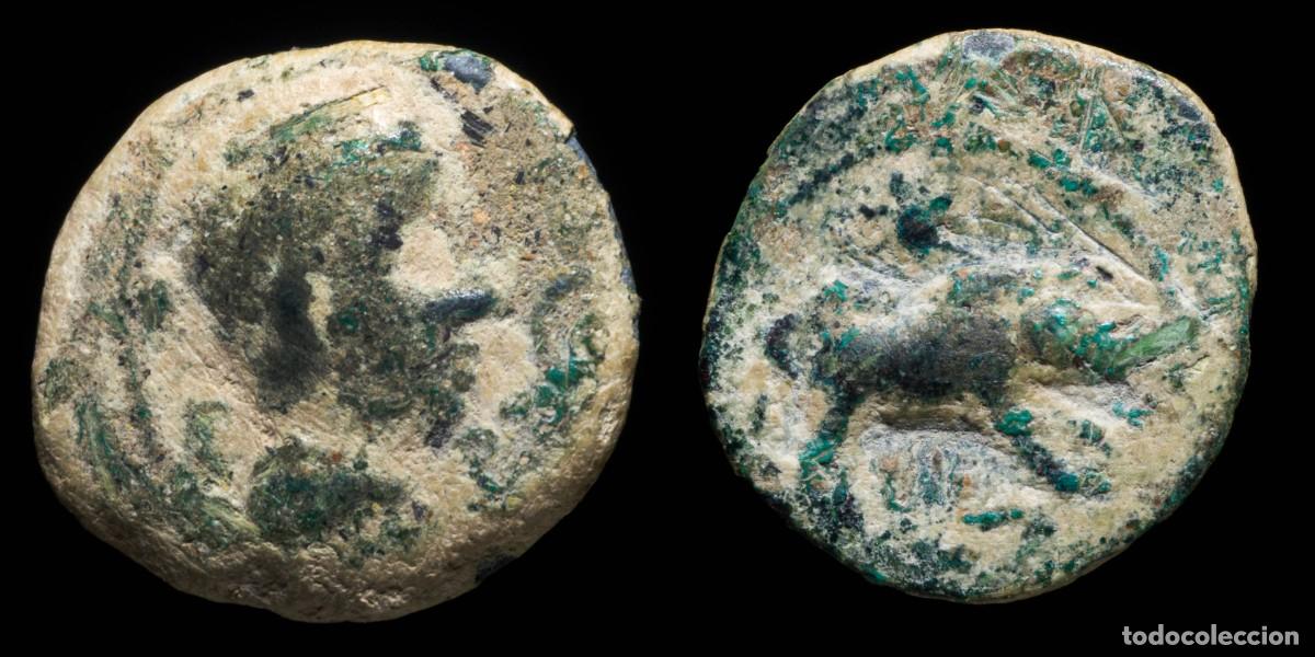 Monedas ib&eacute;ricas: Ancient Spain - Castulo, Cazlona (Jaen) Ae Quadrans - 16 mm / 2.60 gr.