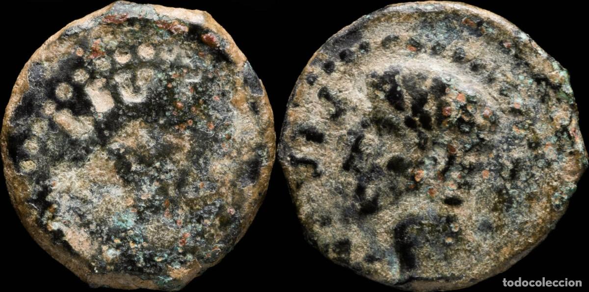 Monedas ib&eacute;ricas: Augustus, Colonia Patricia (Cordoba) Ae Quadrans incused - 16 mm / 2.48 gr.