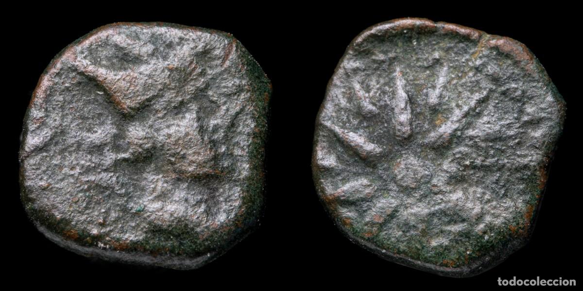 Monedas ib&eacute;ricas: Malaca (Malaga) Ae Sextant - 11 mm / 1.19 gr.