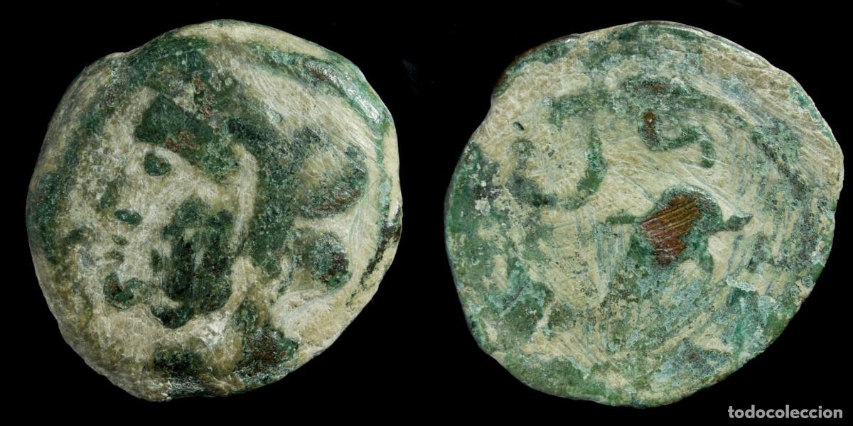 Monedas ib&eacute;ricas: Ancient Hispania - Carteia, San Roque (Cadiz) AE Semis - 25 mm / 9.36 gr.