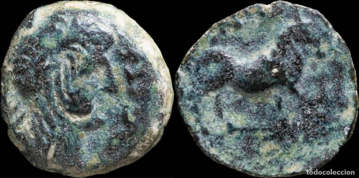 Monedas ib&eacute;ricas: Ancient Hispania - Castulo, Cazlona (Ja&eacute;n) Ae Semis - 19 mm / 4.54 gr