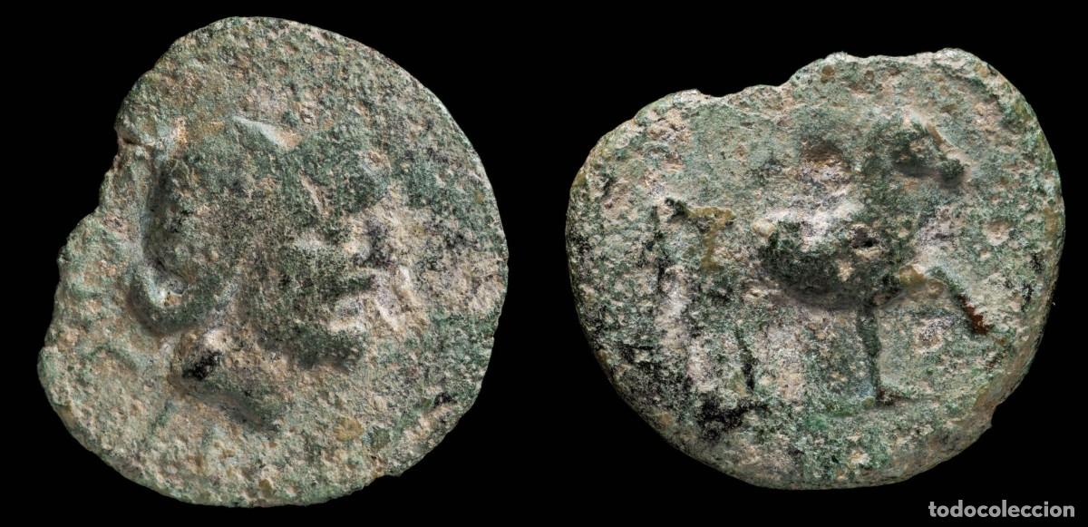 Monedas ib&eacute;ricas: Ancient Hispania - Sacili, Pedro Abad (Cordoba), Ae As - 28 mm / 9.29 gr.