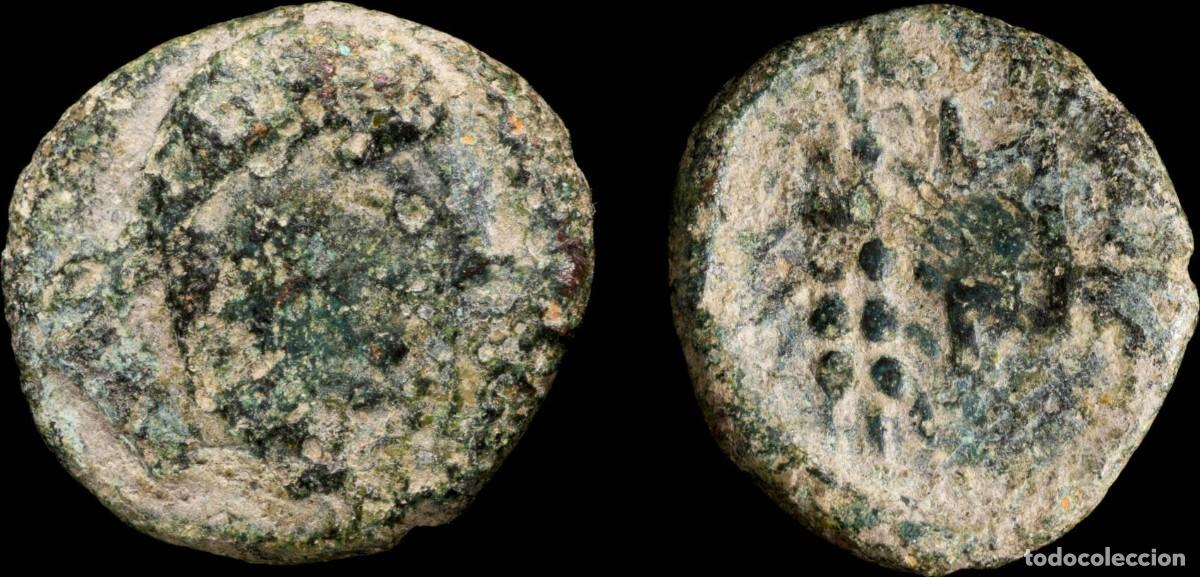 Monedas ib&eacute;ricas: Ancient - Tamuda?, western Mauritania Ae Semis - 18 mm / 4.08 gr.