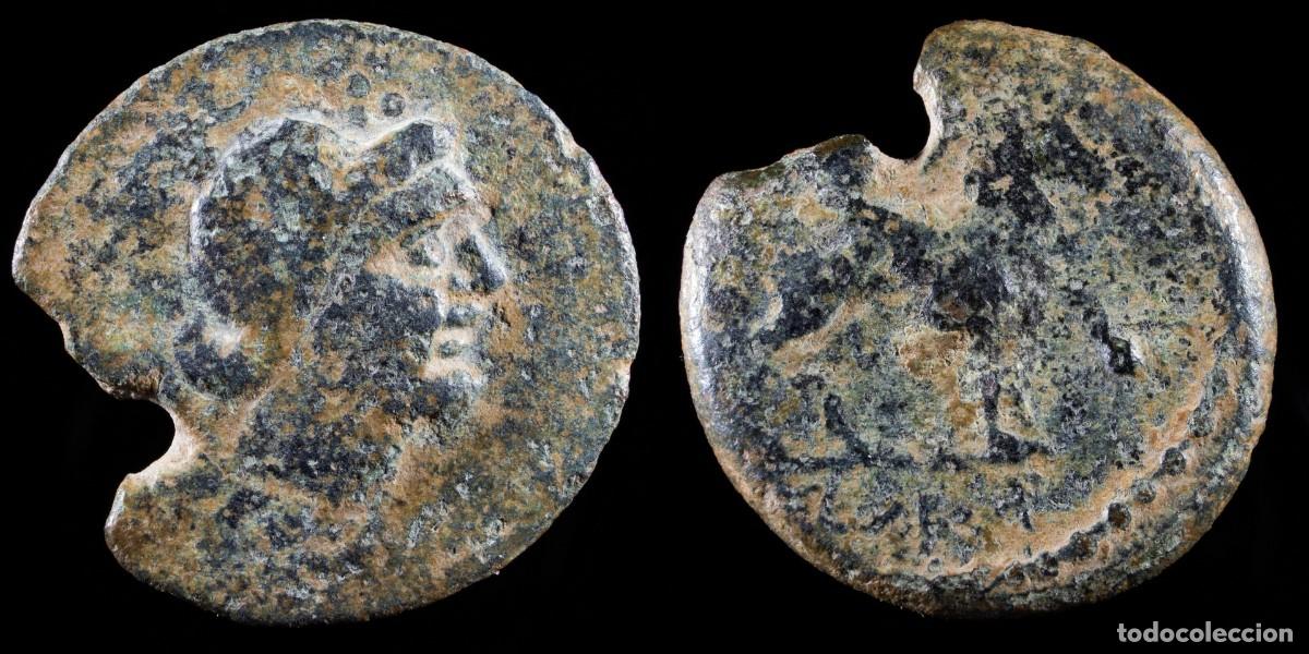 Monedas ib&eacute;ricas: Sacili, Pedro Abad, Cordoba Ae As (legend under the horse) - 27 mm / 8.31 gr.