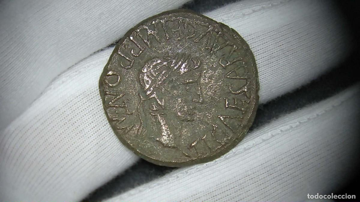 Monedas ib&eacute;ricas: Tiberio As Turiaso (Tarazona) Hispania MBC-