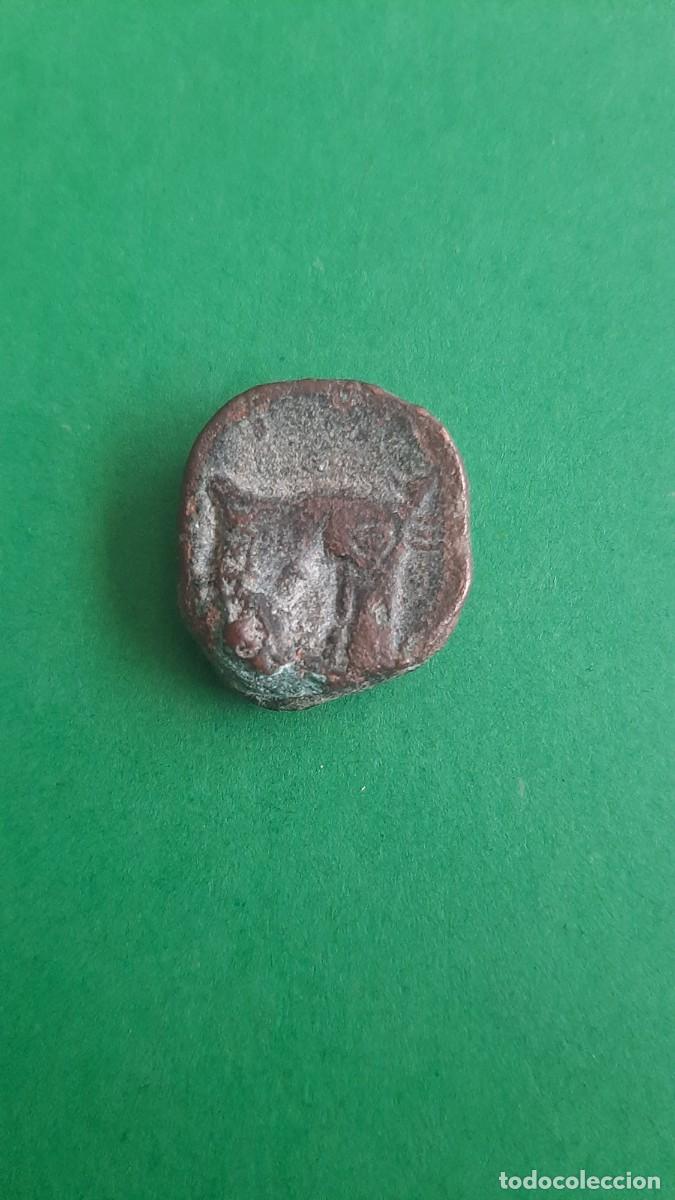 Monedas ib&eacute;ricas: MONEDA CARTAGINESA FELINO NORTEAFRICANA A IDENTIFICAR