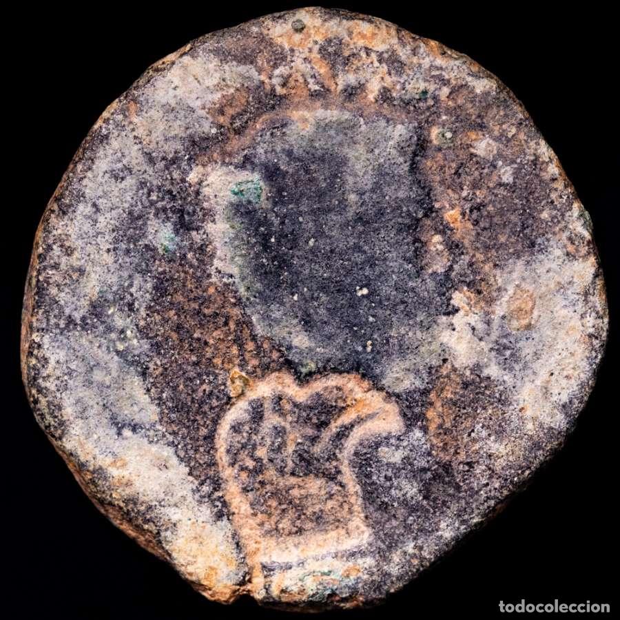Monedas ib&eacute;ricas: Hispania Romana Tiberio, As Calagurris. Toro. Contramarca Aguila