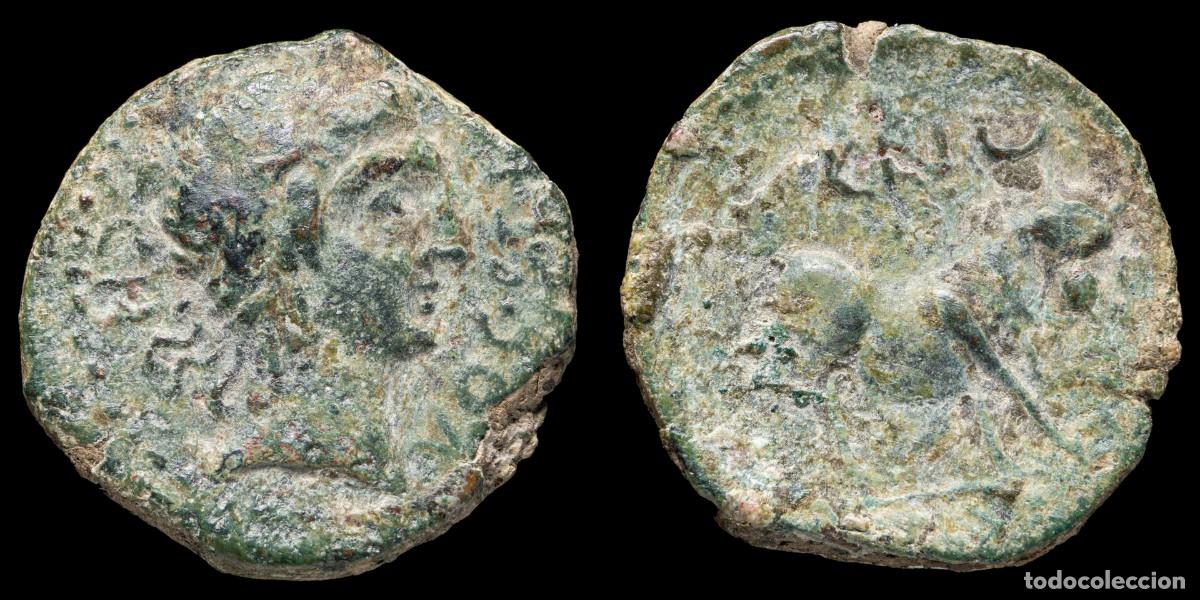 Monedas ib&eacute;ricas: Hispania - Castulo (Cazlona, Jaen) Ae Semis - CN FVL &bull; CNF - 23 mm / 8,68 gr.