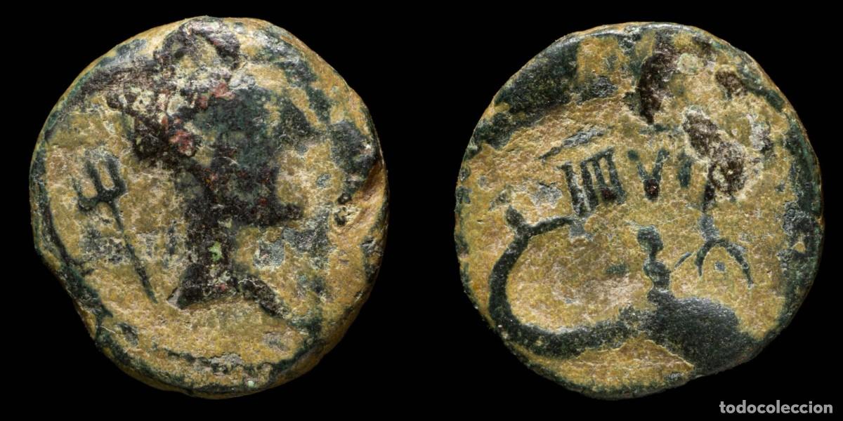 Monedas ib&eacute;ricas: Antigua Hispania - Carteia, San Roque (C&aacute;diz) - 18 mm / 4,36 gr.