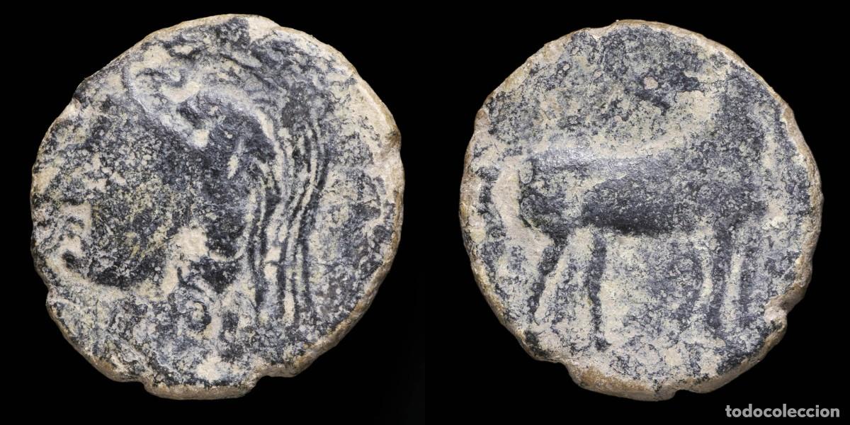 Monedas ib&eacute;ricas: Ancient Hispania - Cartagonova, Cartagena (Murcia), Ae Calco - 23 mm / 6,10 gr.