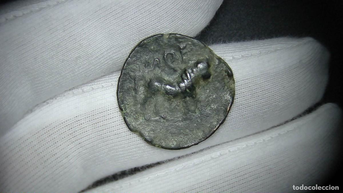 Monedas ib&eacute;ricas: Castulo Semis (Linares) Toro, Hispania MBC- - Foto 2