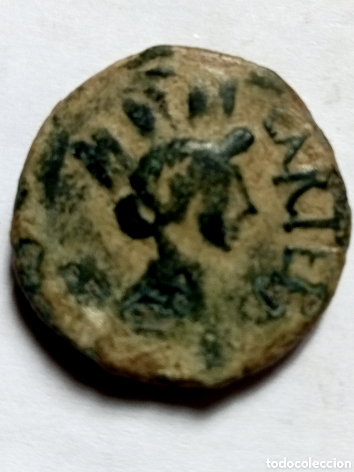 Monedas ib&eacute;ricas: CARTEIA - ALGECIRAS - SIGLO I B.C. - SEMIS