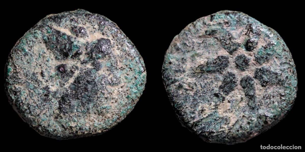 Monedas ib&eacute;ricas: Ancient Hispania - Malaca (Malaga) Ae Sextant - 13 mm / 2.32 gr.