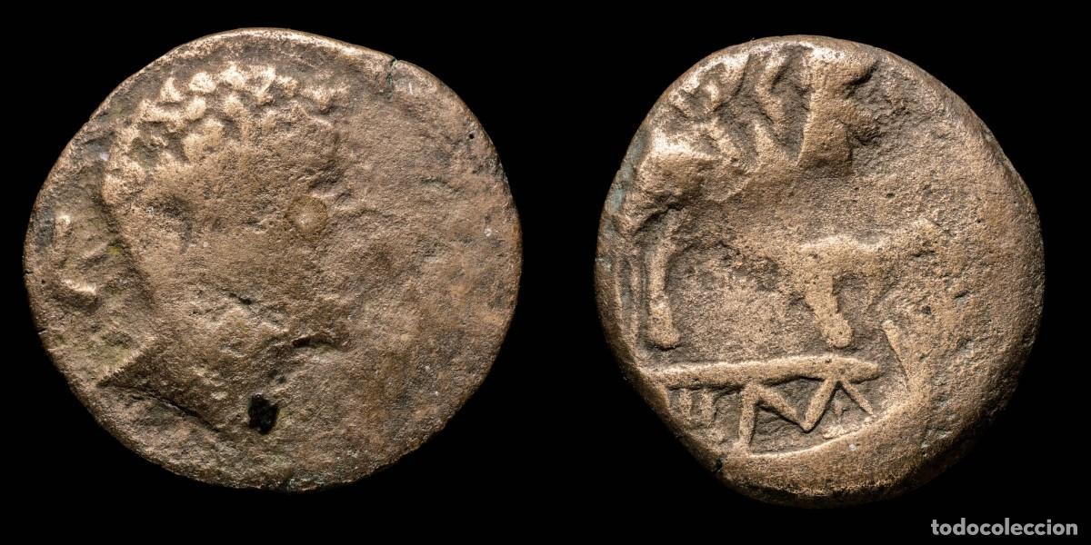 Monedas ib&eacute;ricas: Ancient Hispania - Iliberri, Granada Ae As - 28 mm / 12.75 gr.