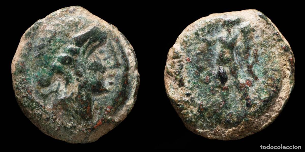 Monedas ib&eacute;ricas: Ancient - Cordvba (Cordoba) Ae Semis, Julius Caesar Times - 18 mm / 4.53 gr.