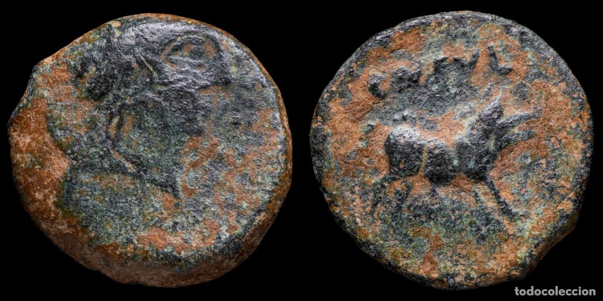 Monedas ib&eacute;ricas: Ancient Hispania - Semis Castulo (Cazlona, Jaen) - 19 mm / 4,88 gr.Laureate male head, right | Outer