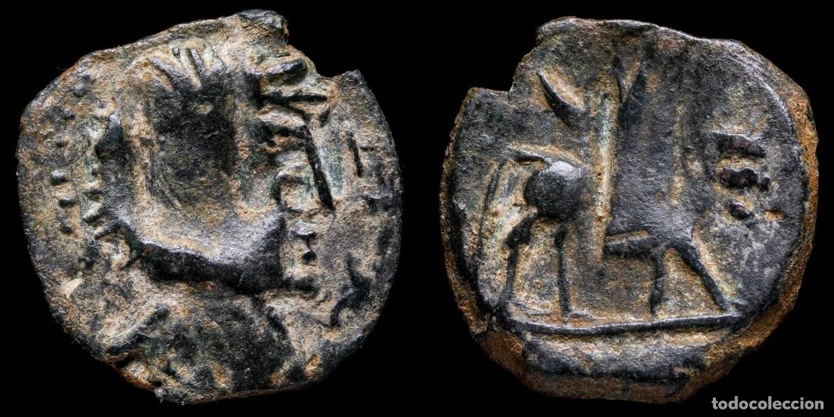 Monedas ib&eacute;ricas: Ancient Hispania - Castulo Ae Semis (Cazlona, Jaen) - 22 mm / 5,20 gr.