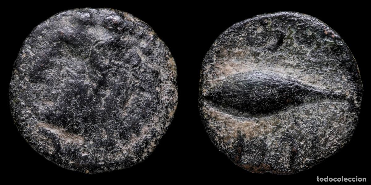 Monedas ib&eacute;ricas: Ancient Hispania - Gades Quadrans (Cadiz) - 15 mm / 1,28 gr.