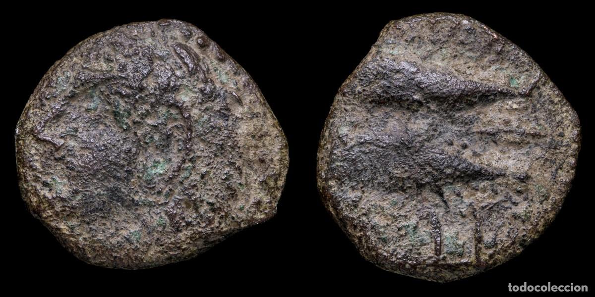 Monedas ib&eacute;ricas: Ancient Hispania - Gades Ae Quadrans (Cadiz) - 17 mm / 3,98 gr.