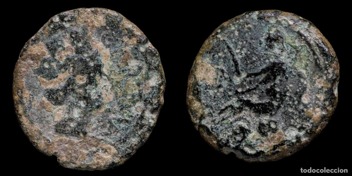 Monedas ib&eacute;ricas: Ancient Hispania - Carteia Ae Semis (San Roque, Cadiz) - 21 mm / 5,52 gr.