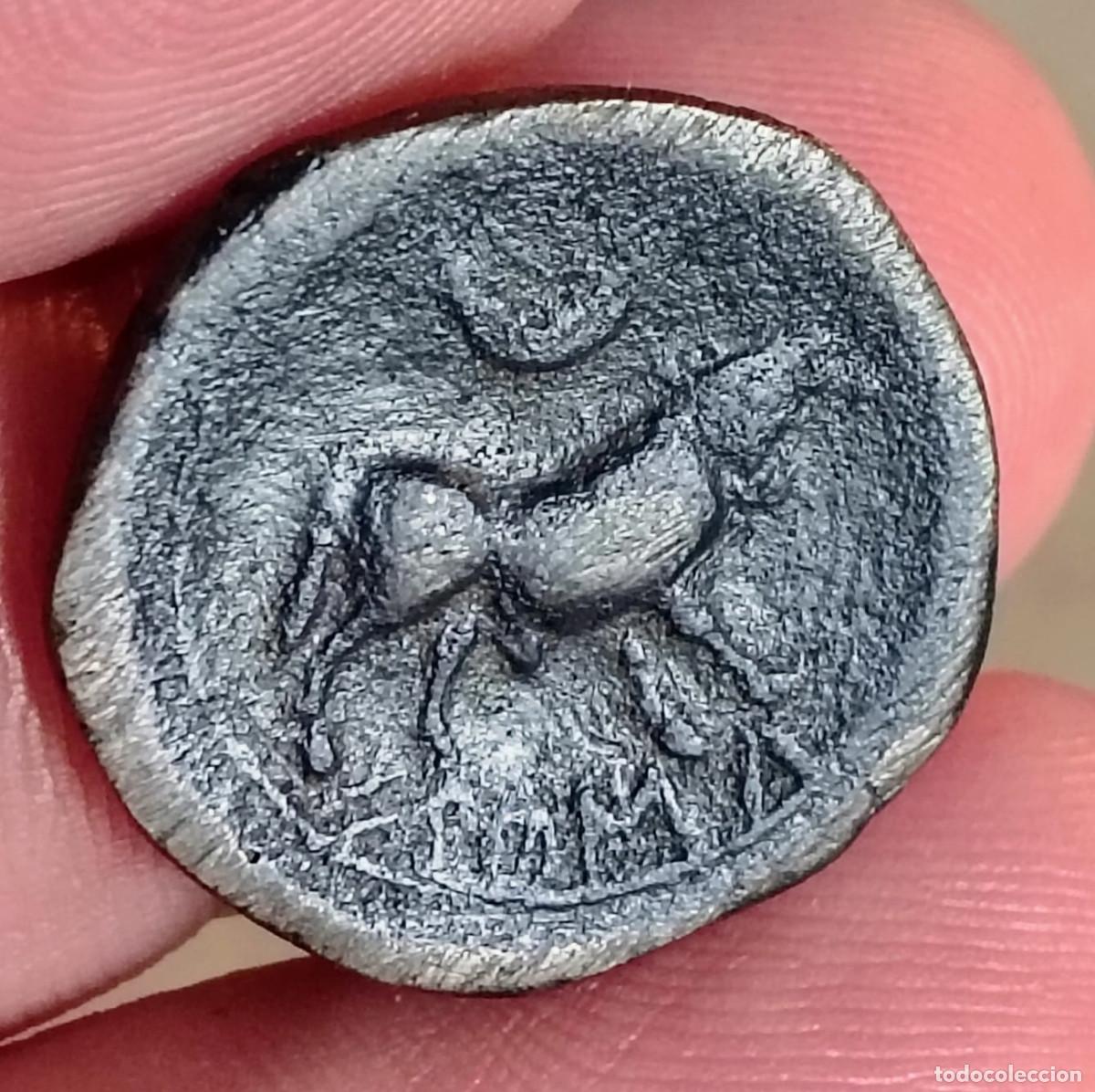 Monedas ib&eacute;ricas: XS- CASTULO (Linares, Ja&eacute;n) SEMIS ANTIGUO 6,91 g Leyenda retr&oacute;grada ACIP 2106 (R6)
