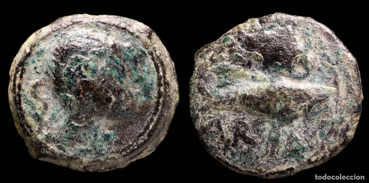 Monedas ib&eacute;ricas: Ancient Hispania - Cvnbaria (Sevilla) Ae Semis - 20 mm / 6.36 gr.