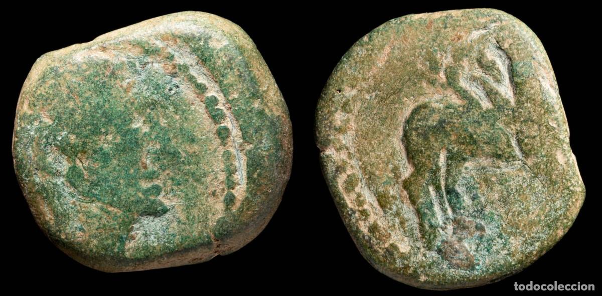 Monedas ib&eacute;ricas: Ancient Hispania - Iliberri (Granada) Ae As - 26 mm / 17.60 gr.