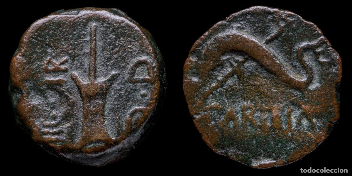 Monedas ib&eacute;ricas: Ancient Hispania - Carteia Quadrans ( San Roque, Cadiz) - 17 mm / 5,15 gr.