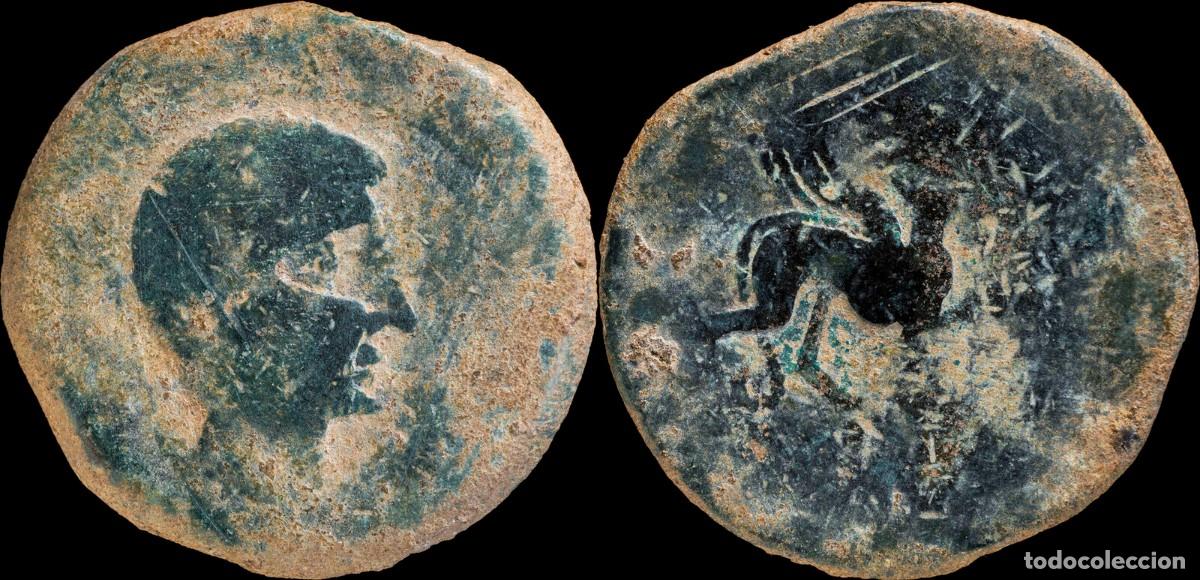Moedas ib&eacute;ricas: Ancient Hispania - Castulo, Cazlona (Jaen), Ae As - 33 mm / 26.41 gr.