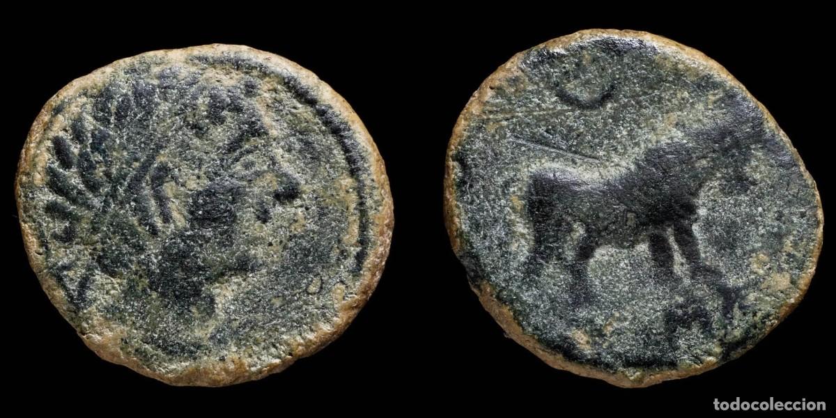 Monedas ib&eacute;ricas: Ancient Hispania - Castulo, Cazlona (Ja&eacute;n) Ae Semis - 21 mm / 5.22 gr.