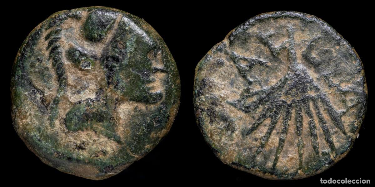 Monedas ib&eacute;ricas: Ancient Hispania- Laelia,Sanlucar la Mayor (Sevilla), Ae Semis- 18 mm / 5,04 gr.