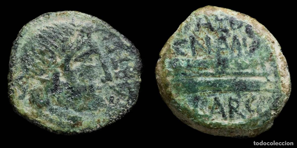 Monedas ib&eacute;ricas: Ancient Hispania - Carteia, San Roque (C&aacute;diz) - Ae Semis - 22 mm / 5.42 gr.