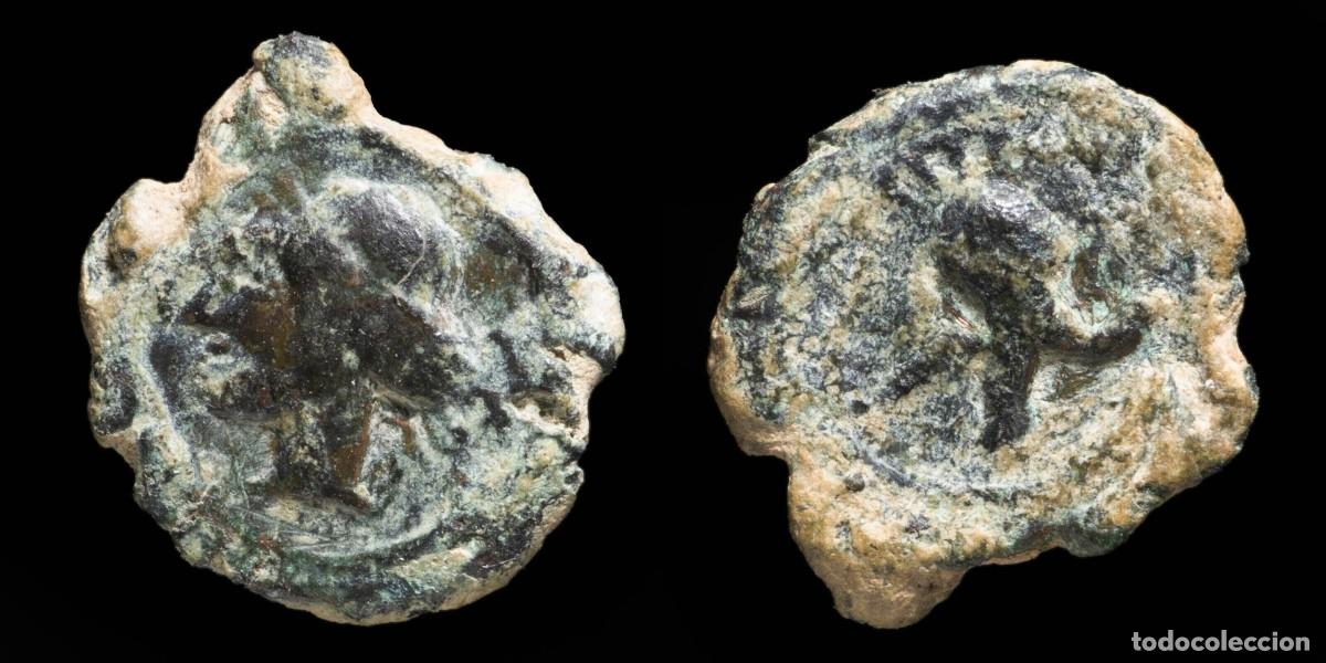 Monedas ib&eacute;ricas: Ancient - 1/4 Calco Hispano Cartagines, Cartagena (Murcia) - 15 mm / 1.88 gr.