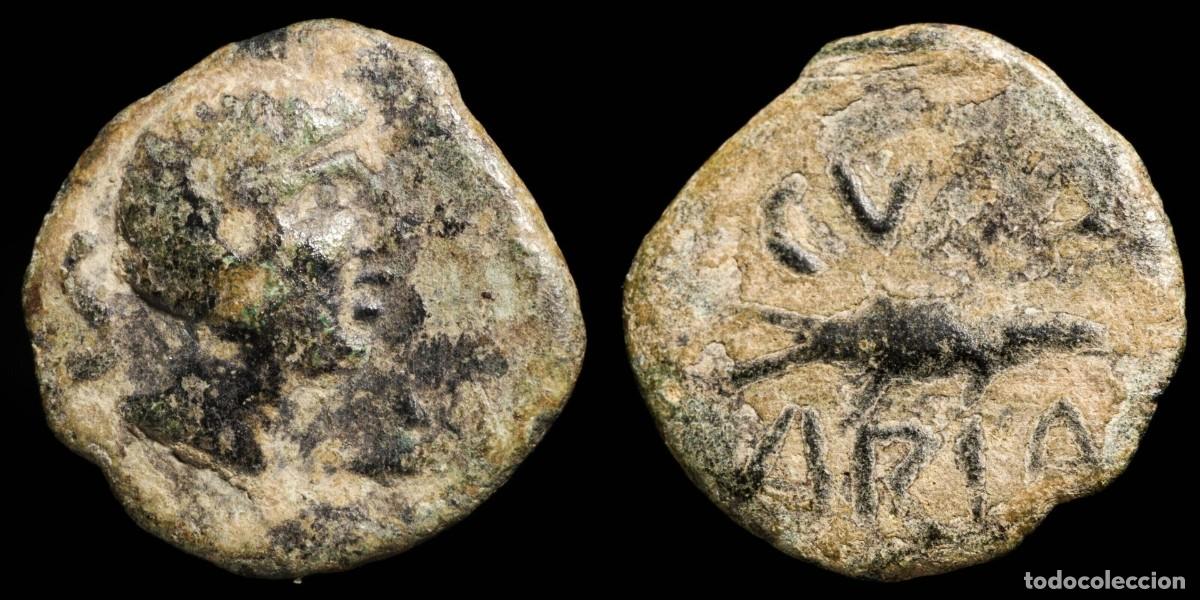 Monedas ib&eacute;ricas: Ancient Hispania - Cvnbaria (Sevilla) Ae Semis - 20 mm / 4.16 gr.