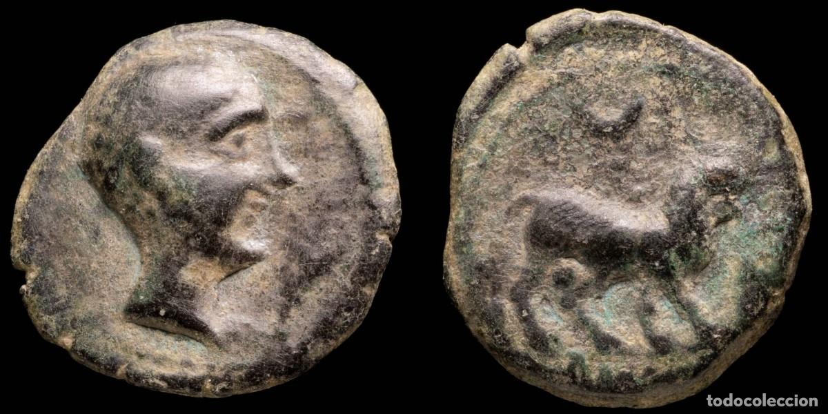 Monedas ib&eacute;ricas: Ancient Hispania - Castulo, Cazlona (Ja&eacute;n) Ae Semis - 19 mm / 3.96 gr.