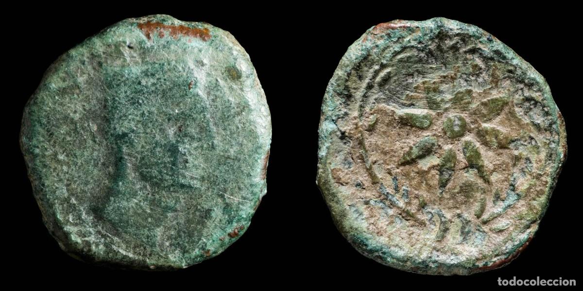 Monedas ib&eacute;ricas: Ancient Hispania - Malaca (Malaga) Ae Semis - 21 mm / 6.05 gr.