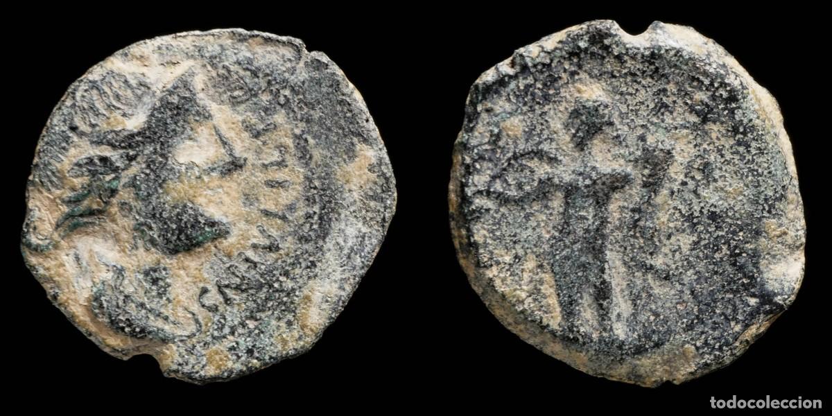 Monedas ib&eacute;ricas: Ancient Hispania - Cordvba (Cordoba) Ae Semis, Julius Caesar Times - 20 mm / 3.59 gr.