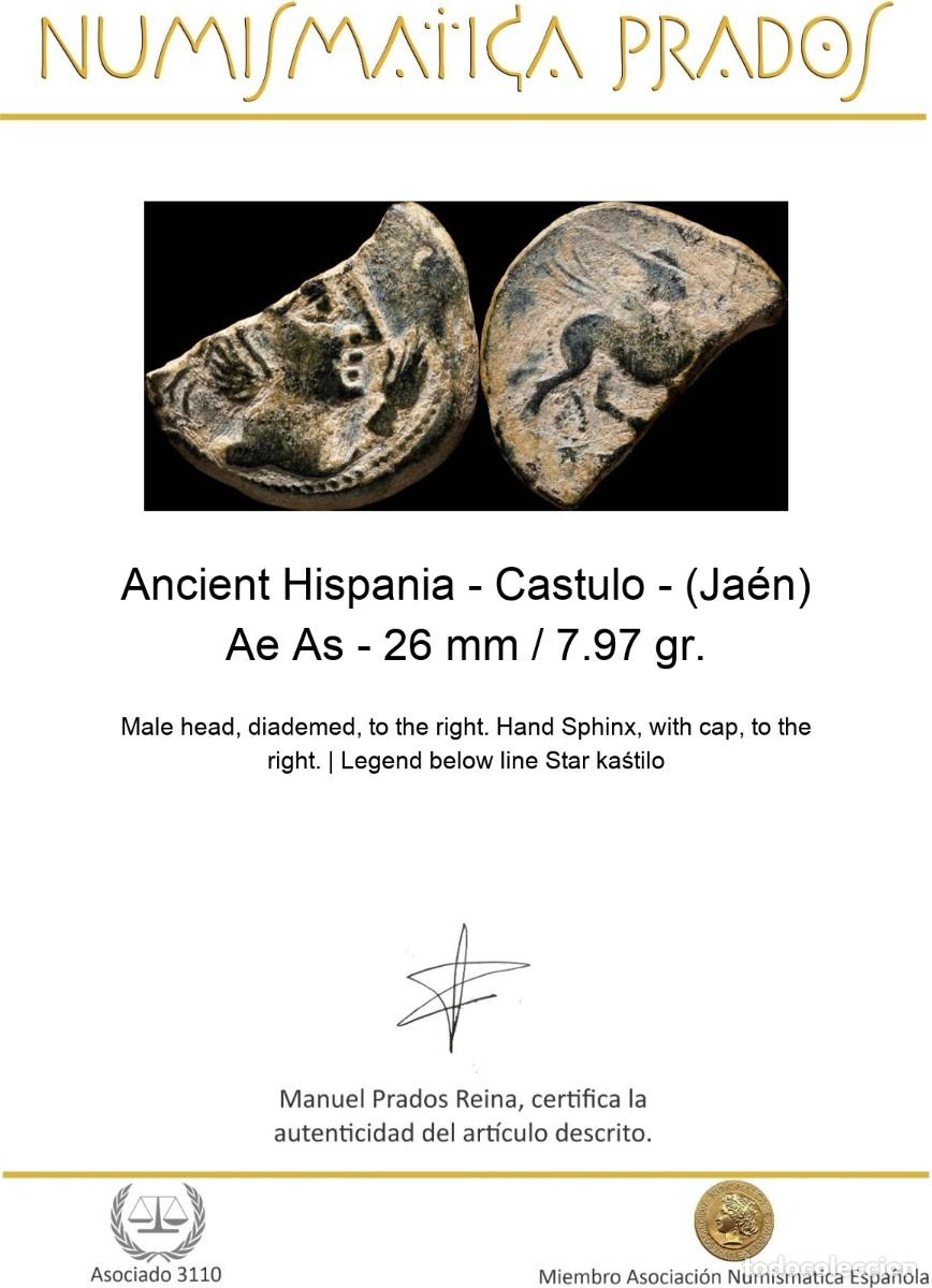 Monedas ib&eacute;ricas: Ancient Hispania - Castulo - (Ja&eacute;n) Ae As - 26 mm / 7.97 gr. - Foto 2