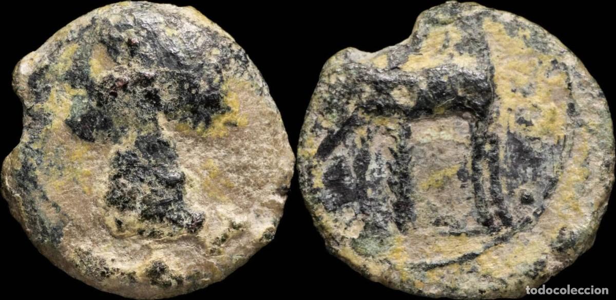 Monete iberiche: Ancient Hispania - 1/2 Calco Cartagines, Cartagena (Murcia) - 16 mm / 2.20 gr.
