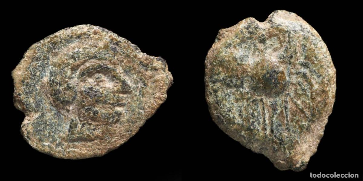 Monedas ib&eacute;ricas: Ancient Hispania - Carisa, Bornos (C&aacute;diz) Ae Semis - 18 mm / 2.15 gr.