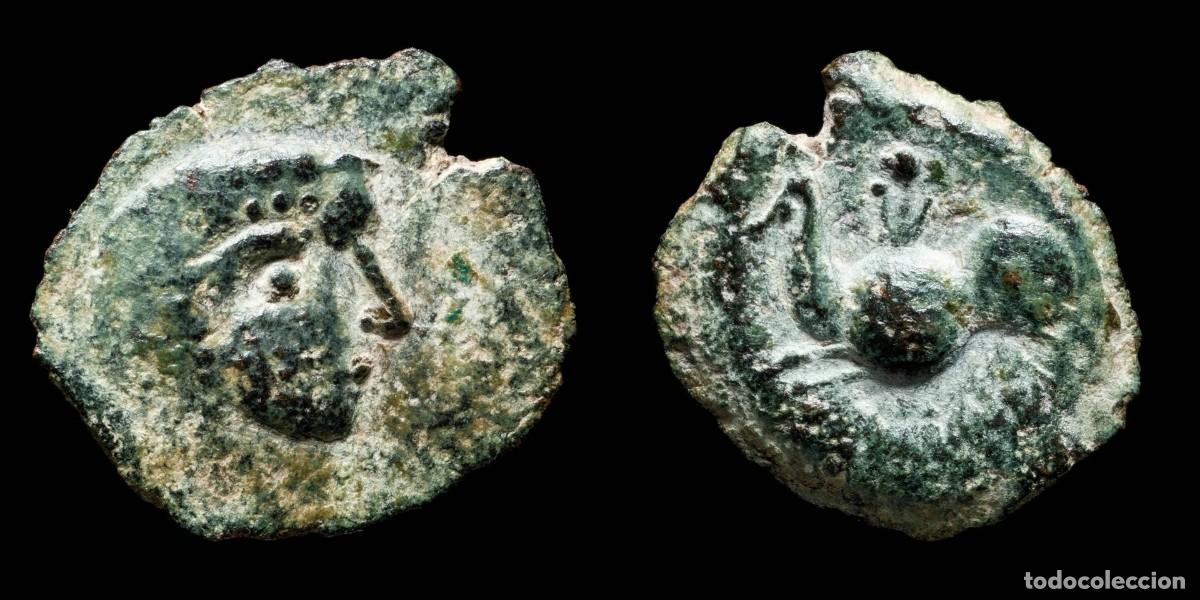 Monedas ib&eacute;ricas: Ancient Hispania - Carisa, Bornos (C&aacute;diz) Ae Semis - 18 mm / 3.27 gr.