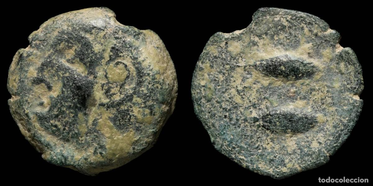 Monedas ib&eacute;ricas: Ancient Hispania - Gades (Cadiz) Ae Semis - 19 mm / 4.06 gr