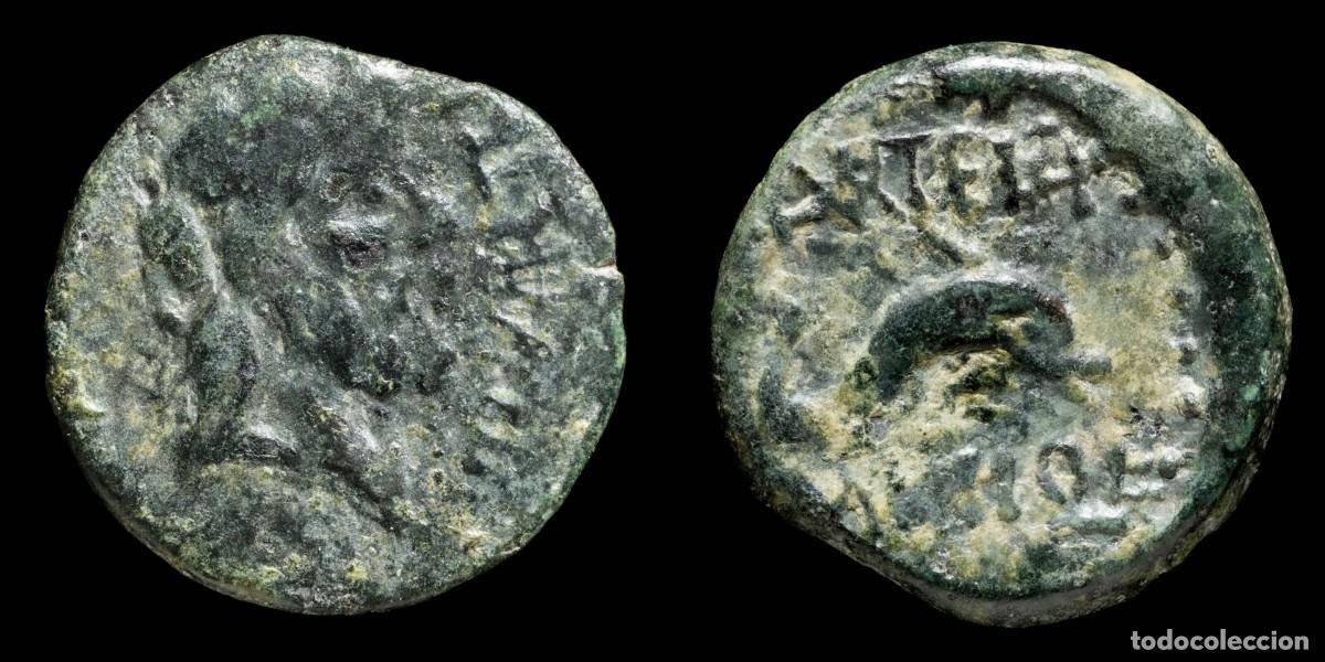Monedas ib&eacute;ricas: Ancient Hispania - Carteia, San Roque (C&aacute;diz) - Ae Semis - 19 mm / 3.78 gr.