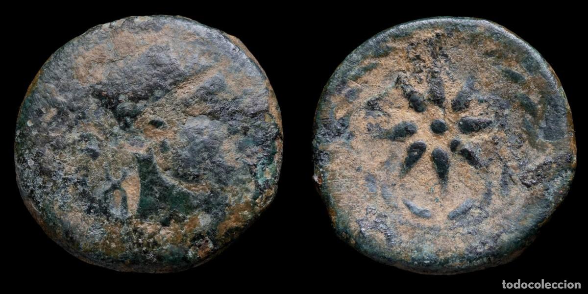 Monedas ib&eacute;ricas: Ancient Hispania - Malaca Ae Semis (Malaga) - 21 mm / 5,45 gr.