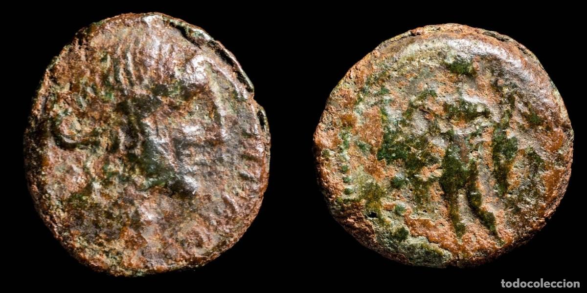 Monedas ib&eacute;ricas: Ancient Hispania - Cordvba (Cordoba) Ae Semis, Julius Caesar Times - 19 mm / 5,93 gr.