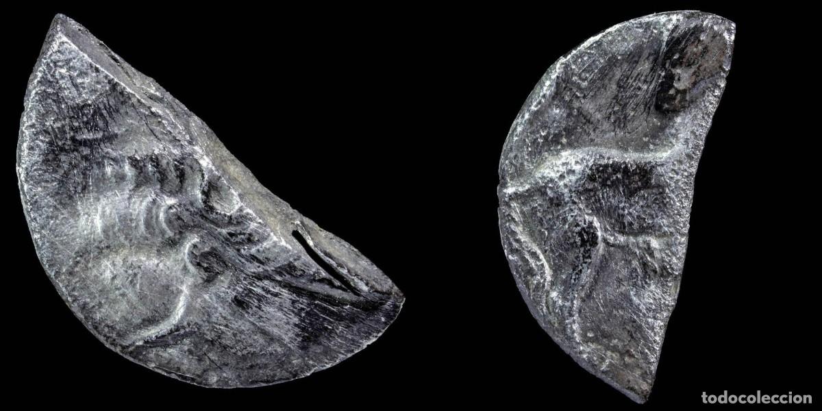 Monedas ib&eacute;ricas: Ancient Hispania - 1/2 Shekel Hispano Cartagines - 17 mm / 1.85 gr.